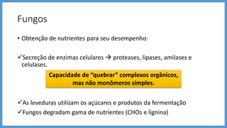 Fungos
• Obtenção de nutrientes para seu desempenho:
Secreção de enzimas celulares  proteases, lipases, amilases e
celulases.
As leveduras utilizam os açúcares e produtos da fermentação
Fungos degradam gama de nutrientes (CHOs e lignina)
Capacidade de “quebrar” complexos orgânicos,
mas não monômeros simples.
 