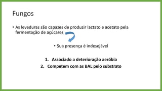 Fungos
• As leveduras são capazes de produzir lactato e acetato pela
fermentação de açúcares
• Sua presença é indesejável
1. Associado a deterioração aeróbia
2. Competem com as BAL pelo substrato
 