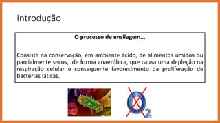 Introdução
O processo de ensilagem...
Consiste na conservação, em ambiente ácido, de alimentos úmidos ou
parcialmente secos, de forma anaeróbica, que causa uma depleção na
respiração celular e consequente favorecimento da proliferação de
bactérias láticas.
 