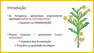 Introdução
• As forrageiras apresentam originalmente
população epífita de microrganismos
Auxiliam na FERMENTAÇÃO
• Plantas invasoras – apresentam fungos
indesejáveis
Impedem boa fermentação
Prejudica na qualidade da silagem
 