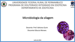 UNIVERSIDADE FEDERAL RURAL DE PERNAMBUCO
PROGRAMA DE DOUTORADO INTEGRADO EM ZOOTECNIA
DEPARTAMENTO DE ZOOTECNIA
Microbiologia da silagem
Docente: Prof. Adriana Guim
Discente Gláucia Moraes
Junho de 2016
 