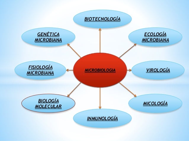 Microbiologia