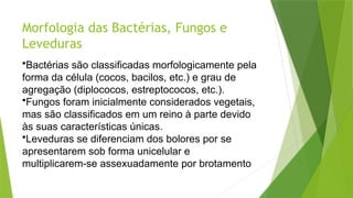 Morfologia das Bactérias, Fungos e
Leveduras
•Bactérias são classificadas morfologicamente pela
forma da célula (cocos, bacilos, etc.) e grau de
agregação (diplococos, estreptococos, etc.).
•Fungos foram inicialmente considerados vegetais,
mas são classificados em um reino à parte devido
às suas características únicas.
•Leveduras se diferenciam dos bolores por se
apresentarem sob forma unicelular e
multiplicarem-se assexuadamente por brotamento
 