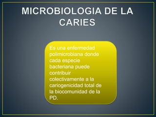 Es una enfermedad
polimicrobiana donde
cada especie
bacteriana puede
contribuir
colectivamente a la
cariogenicidad total de
la biocomunidad de la
PD.
 