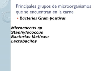 Principales grupos de microorganismos
  que se encuentran en la carne
     Bacterias Gram positivas

Micrococcus sp
Staphylococcus
Bacterias lácticas:
Lactobacilos
 