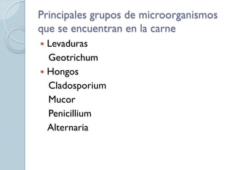 Principales grupos de microorganismos
que se encuentran en la carne
 Levaduras
  Geotrichum
 Hongos
  Cladosporium
  Mucor
  Penicillium
  Alternaria
 