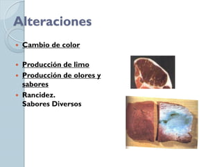 Alteraciones
   Cambio de color

   Producción de limo
   Producción de olores y
    sabores
   Rancidez.
    Sabores Diversos
 