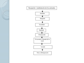 Recepción / estabulación de los animales


                 Aturdido


                 Sangrado



                Escaldado



                Depilado


               Chamuscado


         Eviscerado y faenado de la
                   canal



                   Lavado



            Oreo y Refrigeración
 