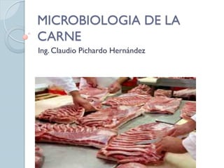 MICROBIOLOGIA DE LA
CARNE
Ing. Claudio Pichardo Hernández
 