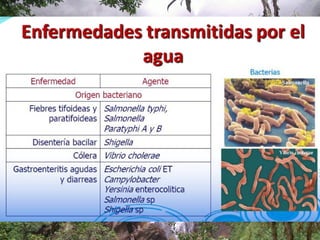Microbiologia del agua | PPT
