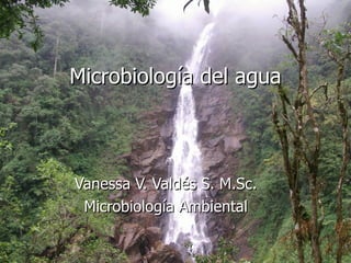 Microbiología del agua Vanessa V. Valdés S. M.Sc. Microbiología Ambiental 