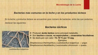microbiologia de la leche que fue hecho en la Utepsa | PDF