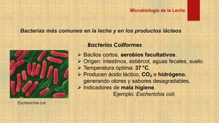 microbiologia de la leche que fue hecho en la Utepsa | PDF