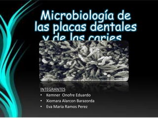 INTEGRANTES
• Kemner Onofre Eduardo
• Xiomara Alarcon Barazorda
• Eva Maria Ramos Perez
Microbiología de
las placas dentales
y de las caries .
 