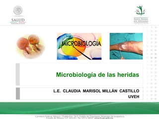 Microbiología de las heridas
L.E. CLAUDIA MARISOL MILLÁN CASTILLO
UVEH
 