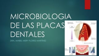 MICROBIOLOGIA
DE LAS PLACAS
DENTALES
DRA. MABEL MERY FLORES MARTÍNEZ
 