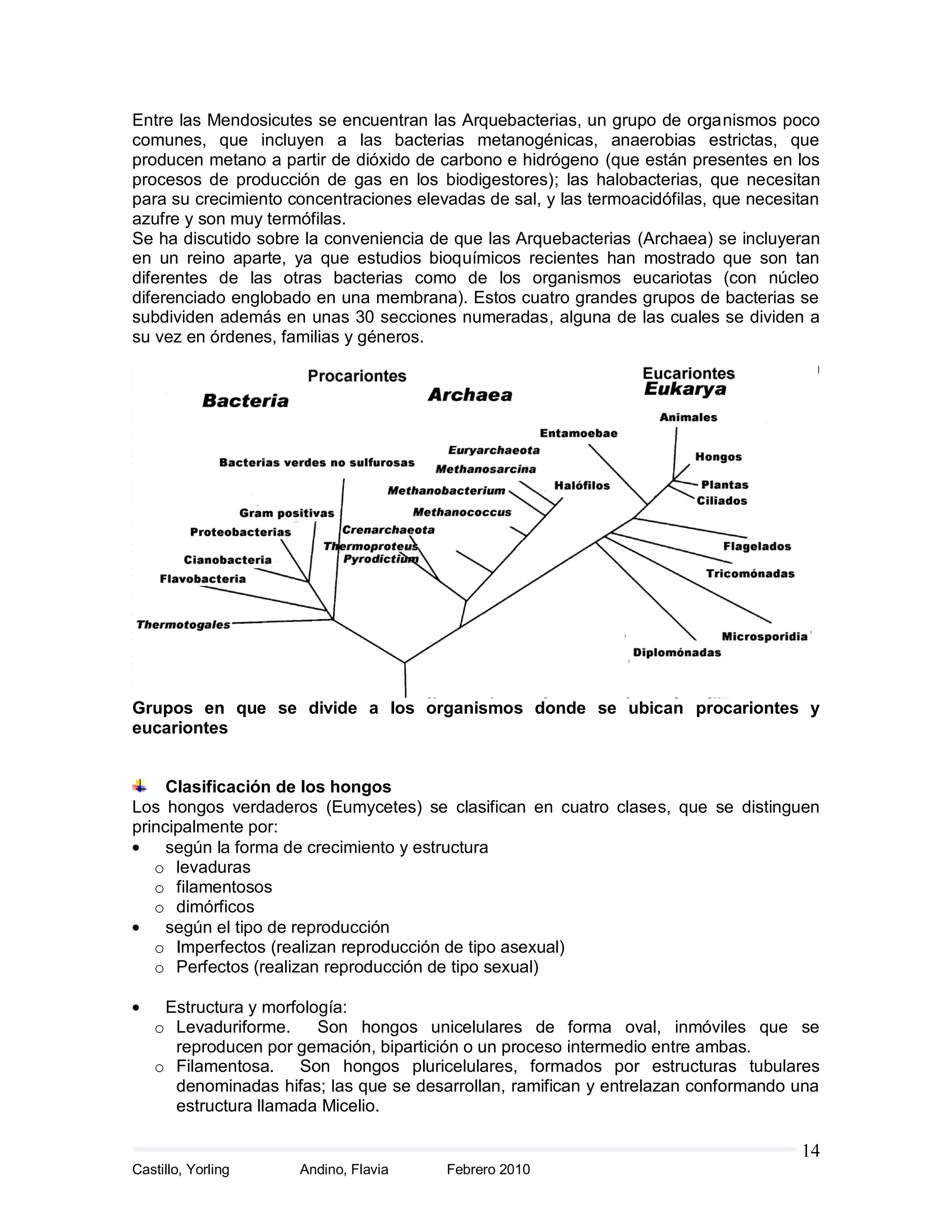 microbiologia de los alimentos | PDF