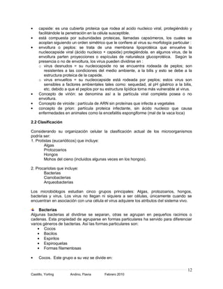 12
Castillo, Yorling Andino, Flavia Febrero 2010
capside: es una cubierta proteica que rodea al acido nucleico viral, protegiéndolo y
facilitándole la penetración en la célula susceptible.
está compuesta por subunidades proteicas, llamadas capsómeros, los cuales se
acoplan siguiendo un orden simétrico que le confiere al virus su morfología particular :
envoltura o peplos: se trata de una membrana lipoprotéica que envuelve la
nucleocapside viral (ácido nucleico + capside) protegiéndola. en algunos virus, de la
envoltura parten proyecciones o espículas de naturaleza glucoprotéica. Según la
presencia o no de envoltura, los virus pueden dividirse en :
o virus desnudos = su nucleocapside no se encuentra rodeada de peplos; son
resistentes a las condiciones del medio ambiente, a la bilis y esto se debe a la
estructura proteica de la capside.
o virus envueltos = su nucleocapside está rodeada por peplos; estos virus son
sensibles a factores ambientales tales como: sequedad, al pH gástrico a la bilis,
etc. debido a que el peplos por su estructura lipídica torna más vulnerable al virus.
Concepto de virión: se denomina así a la partícula viral completa posea o no
envoltura.
Concepto de viroide : partícula de ARN sin proteínas que infecta a vegetales
concepto de prion: partícula proteica infectante, sin ácido nucleico que causa
enfermedades en animales como la encefalitis espongiforme (mal de la vaca loca)
2.2 Clasificación
Considerando su organización celular la clasificación actual de los microorganismos
podría ser:
1. Protistas (eucarióticos) que incluye:
Algas
Protozoarios
Hongos
Mohos del cieno (incluidos algunas veces en los hongos).
2. Procariotas que incluye:
Bacterias
Cianobacterias
Arqueobacterias
Los microbiólogos estudian cinco grupos principales: Algas, protozoarios, hongos,
bacterias y virus. Los virus no llegan ni siquiera a ser células, únicamente cuando se
encuentran en asociación con una célula el virus adquiere los atributos del sistema vivo.
Bacterias
Algunas bacterias al dividirse se separan, otras se agrupan en pequeños racimos o
cadenas. Esta propiedad de agruparse en formas particulares ha servido para diferenciar
varios géneros de bacterias. Así las formas particulares son:
Cocos
Bacilos
Espirilos
Espiroquetas
Formas filamentosas
Cocos. Este grupo a su vez se divide en:
 