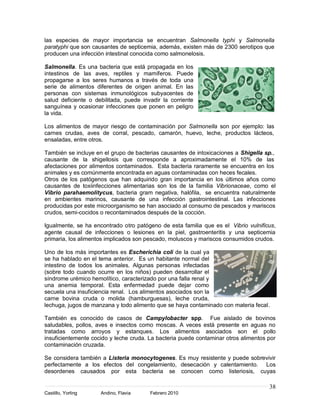 38
Castillo, Yorling Andino, Flavia Febrero 2010
las especies de mayor importancia se encuentran Salmonella typhi y Salmonella
paratyphi que son causantes de septicemia, además, existen más de 2300 serotipos que
producen una infección intestinal conocida como salmonelosis.
Salmonella. Es una bacteria que está propagada en los
intestinos de las aves, reptiles y mamíferos. Puede
propagarse a los seres humanos a través de toda una
serie de alimentos diferentes de origen animal. En las
personas con sistemas inmunológicos subyacentes de
salud deficiente o debilitada, puede invadir la corriente
sanguínea y ocasionar infecciones que ponen en peligro
la vida.
Los alimentos de mayor riesgo de contaminación por Salmonella son por ejemplo: las
carnes crudas, aves de corral, pescado, camarón, huevo, leche, productos lácteos,
ensaladas, entre otros.
También se incluye en el grupo de bacterias causantes de intoxicaciones a Shigella sp.,
causante de la shigellosis que corresponde a aproximadamente el 10% de las
afectaciones por alimentos contaminados. Esta bacteria raramente se encuentra en los
animales y es comúnmente encontrada en aguas contaminadas con heces fecales.
Otros de los patógenos que han adquirido gran importancia en los últimos años como
causantes de toxiinfecciones alimentarias son los de la familia Vibrionaceae, como el
Vibrio parahaemolitycus, bacteria gram negativa, halófila, se encuentra naturalmente
en ambientes marinos, causante de una infección gastrointestinal. Las infecciones
producidas por este microorganismo se han asociado al consumo de pescados y mariscos
crudos, semi-cocidos o recontaminados después de la cocción.
Igualmente, se ha encontrado otro patógeno de esta familia que es el Vibrio vulnificus,
agente causal de infecciones o lesiones en la piel, gastroenteritis y una septicemia
primaria, los alimentos implicados son pescado, moluscos y mariscos consumidos crudos.
Uno de los más importantes es Escherichia coli de la cual ya
se ha hablado en el tema anterior. Es un habitante normal del
intestino de todos los animales. Algunas personas infectadas
(sobre todo cuando ocurre en los niños) pueden desarrollar el
síndrome urémico hemolítico, caracterizado por una falla renal y
una anemia temporal. Esta enfermedad puede dejar como
secuela una insuficiencia renal. Los alimentos asociados son la
carne bovina cruda o molida (hamburguesas), leche cruda,
lechuga, jugos de manzana y todo alimento que se haya contaminado con materia fecal.
También es conocido de casos de Campylobacter spp. Fue aislado de bovinos
saludables, pollos, aves e insectos como moscas. A veces está presente en aguas no
tratadas como arroyos y estanques. Los alimentos asociados son el pollo
insuficientemente cocido y leche cruda. La bacteria puede contaminar otros alimentos por
contaminación cruzada.
Se considera también a Listeria monocytogenes. Es muy resistente y puede sobrevivir
perfectamente a los efectos del congelamiento, desecación y calentamiento. Los
desordenes causados por esta bacteria se conocen como listeriosis, cuyas
 