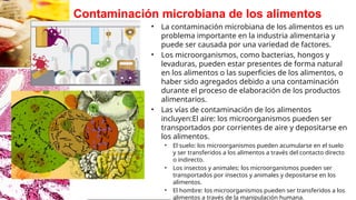 LA MICROBIOLOGIA DE LOS ALIMENTOS U.pptx
