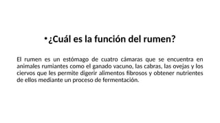 Microbiologia del Rumen EN MEDICINA VETERINARIA | PPTX