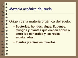 Materia orgánica del suelo Origen de la materia orgánica del suelo: Bacterias, hongos, algas, líquenes, musgos y plantas que crecen sobre o entre los minerales y las rocas erosionadas Plantas y animales muertos 