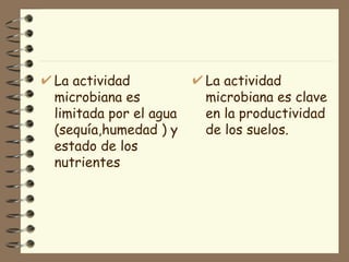 La actividad microbiana es limitada por el agua (sequía,humedad ) y estado de los nutrientes La actividad microbiana es clave en la productividad de los suelos. 