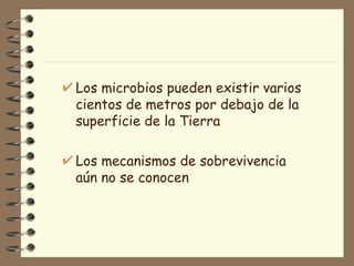 Los microbios pueden existir varios cientos de metros por debajo de la superficie de la Tierra Los mecanismos de sobrevivencia aún no se conocen 