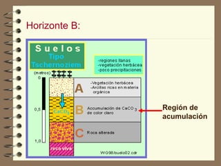 Horizonte B: Región de acumulación 