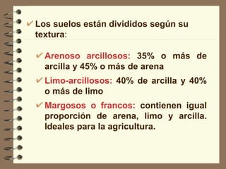Los suelos están divididos según su textura : Arenoso arcillosos:  35% o más de arcilla y 45% o más de arena Limo-arcillosos:  40% de arcilla y 40% o más de limo  Margosos o francos:  contienen igual proporción de arena, limo y arcilla. Ideales para la agricultura. 