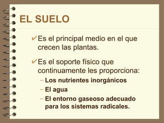 EL SUELO Es el principal medio en el que crecen las plantas.  Es el soporte físico que continuamente les proporciona: Los nutrientes inorgánicos El agua El entorno gaseoso adecuado para los sistemas radicales.   