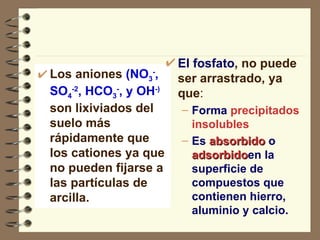Los aniones  (NO 3 - , SO 4 -2 , HCO 3 - , y OH -)  son lixiviados del suelo más rápidamente que los cationes ya que no pueden fijarse a las partículas de arcilla. El fosfato , no puede ser arrastrado, ya que : Forma  precipitados insolubles Es  absorbido  o  adsorbido en la superficie de compuestos que contienen hierro, aluminio y calcio. 