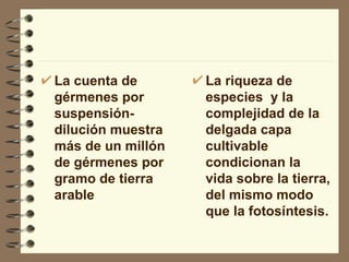 La cuenta de gérmenes por suspensión- dilución muestra más de un millón de gérmenes por gramo de tierra arable La riqueza de especies  y la complejidad de la delgada capa cultivable condicionan la vida sobre la tierra, del mismo modo que la fotosíntesis. 