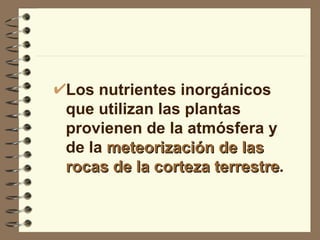 Los nutrientes inorgánicos que utilizan las plantas provienen de la atmósfera y de la  meteorización de las rocas de la corteza terrestre . 