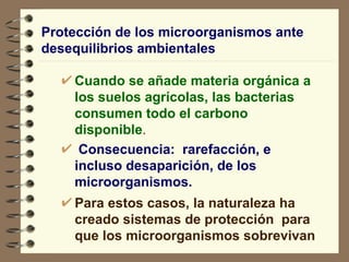 Protección de los microorganismos ante desequilibrios ambientales Cuando se añade materia orgánica a los suelos agrícolas, las bacterias consumen todo el carbono disponible . Consecuencia:  rarefacción, e incluso desaparición, de los microorganismos.   Para estos casos, la naturaleza ha creado sistemas de protección  para que los microorganismos sobrevivan 