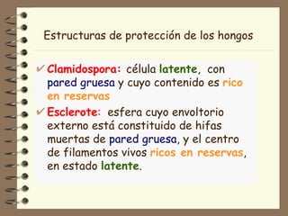 Estructuras de protección de los hongos Clamidospora:   célula  latente ,  con  pared gruesa  y cuyo contenido es  rico en reservas Esclerote :   esfera cuyo envoltorio externo está constituido de hifas muertas de  pared gruesa , y el centro de filamentos vivos  ricos en reservas ,  en estado  latente .  