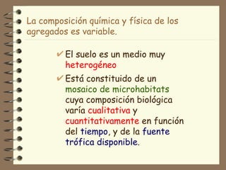 La composición química y física de los agregados es variable. El suelo es un medio muy  heterogéneo Está   constituido de un  mosaico de microhabitats  cuya composición biológica   varía  cualitativa  y  cuantitativamente  en función del  tiempo , y de la  fuente trófica disponible .  