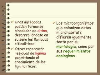 Los microorganismos que colonizan estos microhabitats difieren igualmente tanto por su  morfología , como por sus  requerimientos  ecologicos . Unos agregados pueden formarse alrededor de  citina , desarrrollándose en su seno los llamados citinolíticos.  Otros encerrarán residuos de  lignina  permitiendo el crecimiento de los ligninolíticos.  