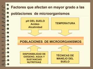 Factores que afectan en mayor grado a las poblaciones  de microorganismos   POBLACIONES  DE MICROORGANISMOS DISPONIBILIDAD DE OXÍGENO, AGUA Y SUSTANCIAS NUTRITIVAS TÉCNICAS DE MANEJO DEL SUELO pH DEL SUELO Acidez- Alcalinidad TEMPERATURA 