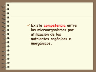 Existe  competencia  entre los microorganismos por utilización de los  nutrientes orgánicos e inorgánicos. 