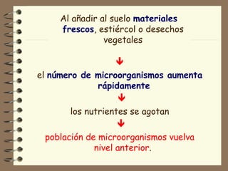 Al añadir al suelo  materiales frescos , estiércol o desechos vegetales  el  número de microorganismos aumenta rápidamente  los nutrientes se agotan  población de microorganismos vuelva nivel anterior .   