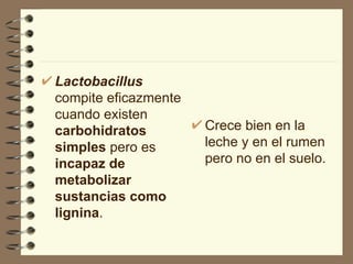 Lactobacillus  compite eficazmente cuando existen  carbohidratos simples  pero es  incapaz de metabolizar sustancias como lignina . Crece bien en la leche y en el rumen  pero no en el suelo.  