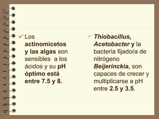 Los  actinomicetos y las algas  son sensibles  a los ácidos y su  pH óptimo está  entre 7.5 y 8. Thiobacillus,   Acetobacter  y  la bacteria fijadora de nitrógeno   Beijerinckia ,  son capaces de crecer y multiplicarse a pH entre  2.5 y 3.5 . 