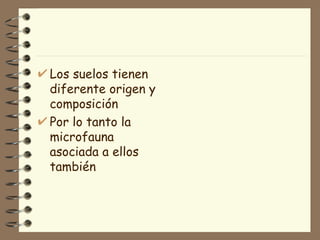 Los suelos tienen diferente origen y composición Por lo tanto la microfauna asociada a ellos también 