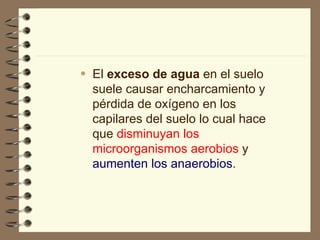 El  exceso de agua  en el suelo suele causar encharcamiento y pérdida de oxígeno en los capilares del suelo lo cual hace que  disminuyan los microorganismos aerobios  y  aumenten los anaerobios . 