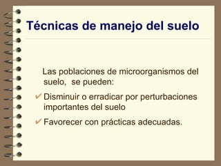 Técnicas de manejo del suelo Las poblaciones de microorganismos del suelo,  se pueden: Disminuir o erradicar por perturbaciones importantes del suelo Favorecer con prácticas adecuadas. 