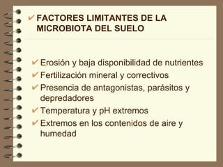 FACTORES LIMITANTES DE LA MICROBIOTA DEL SUELO Erosión y baja disponibilidad de nutrientes Fertilización mineral y correctivos Presencia de antagonistas, parásitos y depredadores Temperatura y pH extremos Extremos en los contenidos de aire y humedad 