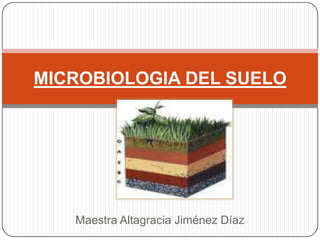 MICROBIOLOGIA DEL SUELO




   Maestra Altagracia Jiménez Díaz
 