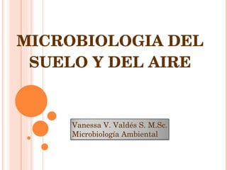 MICROBIOLOGIA DEL SUELO Y DEL AIRE Vanessa V. Valdés S. M.Sc. Microbiología Ambiental 