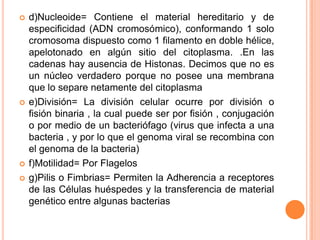  d)Nucleoide= Contiene el material hereditario y de
especificidad (ADN cromosómico), conformando 1 solo
cromosoma dispuesto como 1 filamento en doble hélice,
apelotonado en algún sitio del citoplasma. .En las
cadenas hay ausencia de Histonas. Decimos que no es
un núcleo verdadero porque no posee una membrana
que lo separe netamente del citoplasma
 e)División= La división celular ocurre por división o
fisión binaria , la cual puede ser por fisión , conjugación
o por medio de un bacteriófago (virus que infecta a una
bacteria , y por lo que el genoma viral se recombina con
el genoma de la bacteria)
 f)Motilidad= Por Flagelos
 g)Pilis o Fimbrias= Permiten la Adherencia a receptores
de las Células huéspedes y la transferencia de material
genético entre algunas bacterias
 